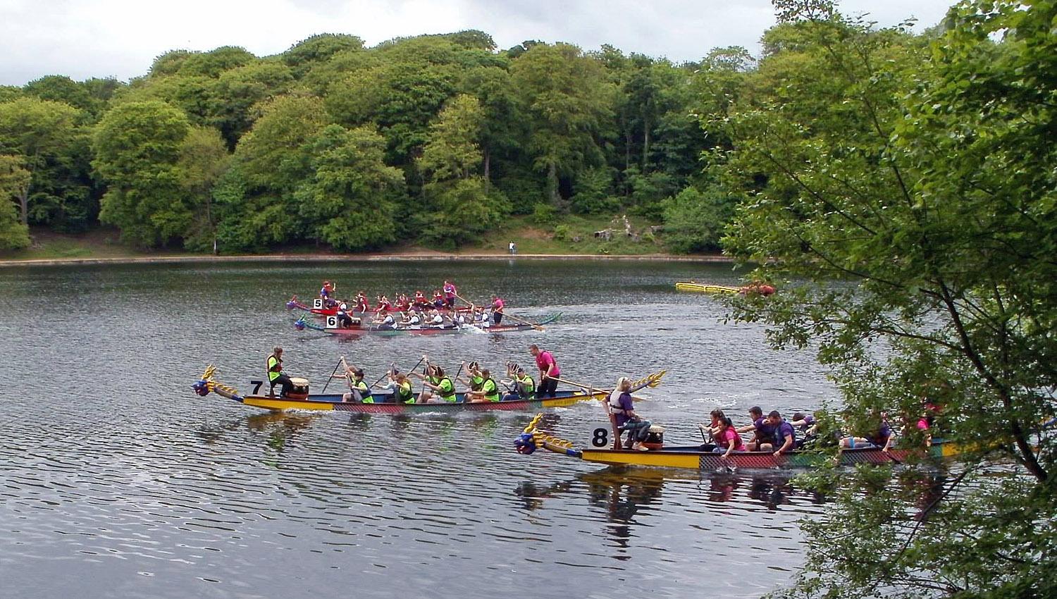 Dragon Boat race action